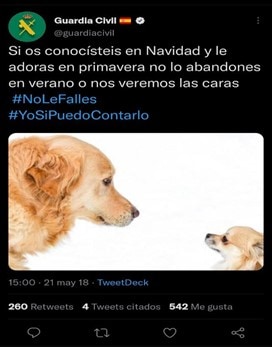 1b 1b Peculiaridades del maltrato animal en verano.