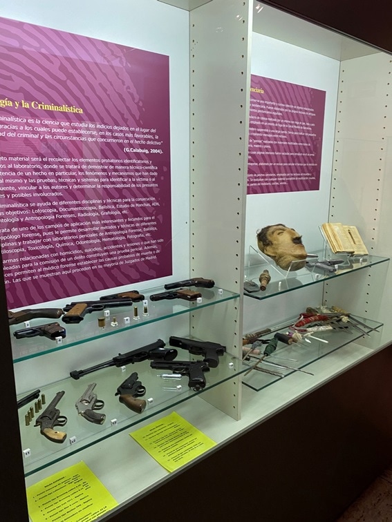 3 3 Crónica de una cautivadora visita al Museo de Antropología Médica-Forense ‘Profesor Reverte Coma’ 3 3 Crónica de una cautivadora visita al Museo de Antropología Médica-Forense ‘Profesor Reverte Coma’