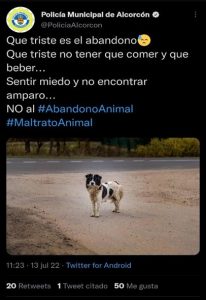 3 4 Peculiaridades del maltrato animal en verano. 3 4 Peculiaridades del maltrato animal en verano.