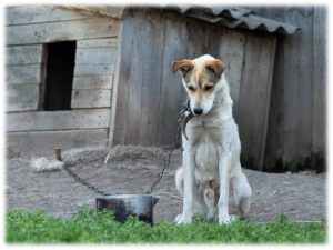 4 2 Blog